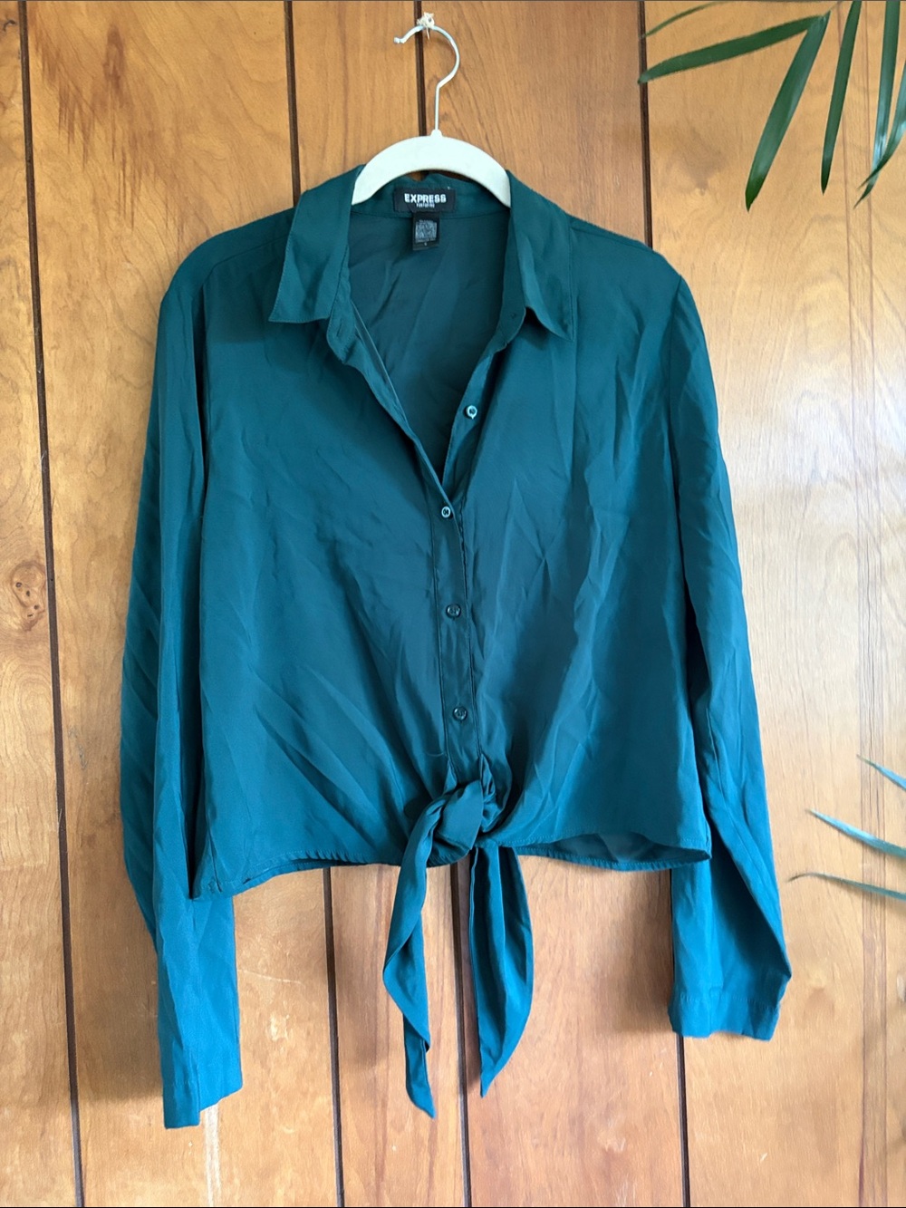Express Teal Green Tie-Front Button-Down Shirt